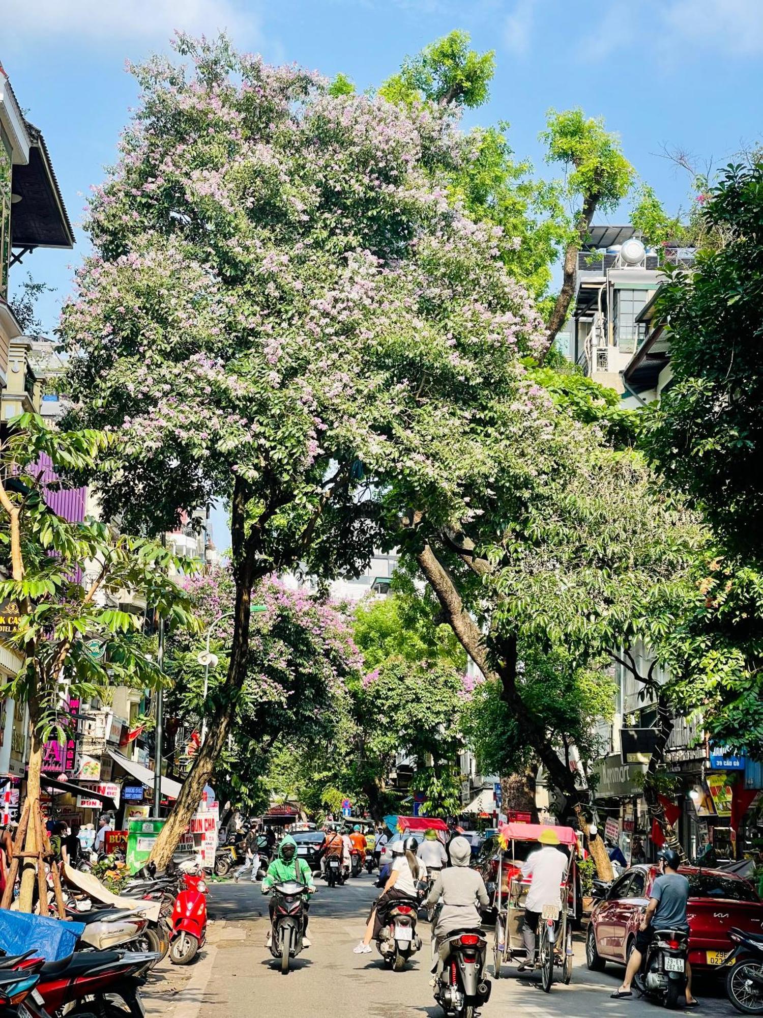 Old House Homestay Hanoi Esterno foto